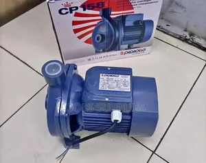 Pedrollo 1HP Water Pump