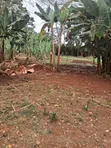 Kiambu Road Prime 1/2 Acre Land at Kivulini Estate - 1