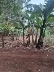 Kiambu Road Prime 1/2 Acre Land at Kivulini Estate - 2