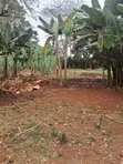 Kiambu Road Prime 1/2 Acre Land at Kivulini Estate - 3