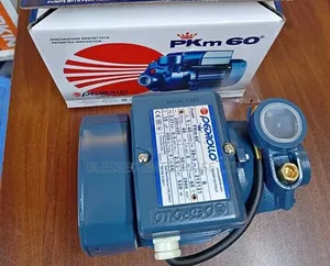 0.5hp Pedrollo Commercial Water Pump