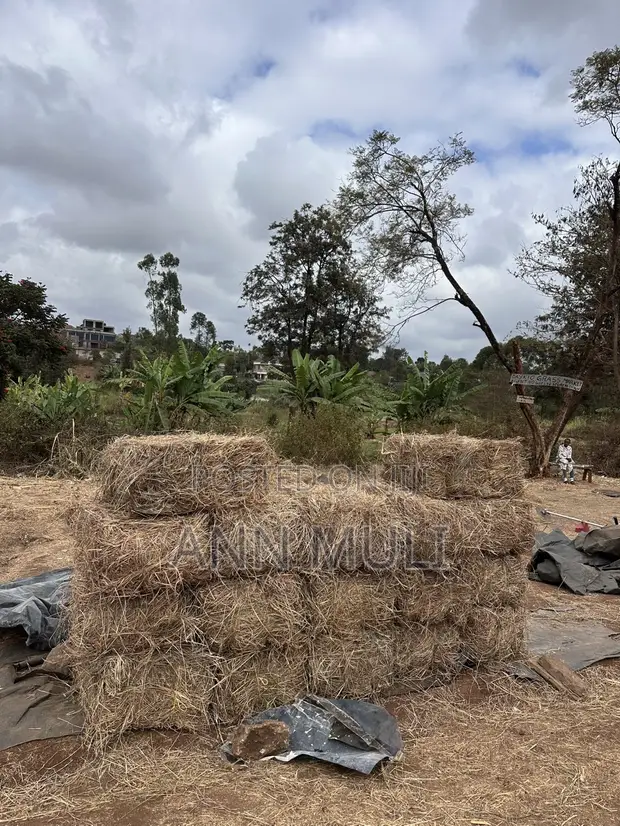 Organic Hay for Sale - 1