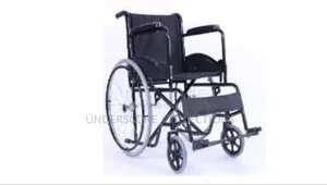 Standard Adult Folding Manual Wheelchair