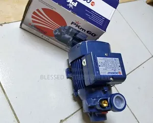 Brand New Pedrollo 0.5HP Water Pump