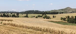 550 Eka za Ardhi ya Kilimo kwa Uuzaji - Subukia, Nakuru