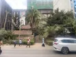 1/2 Acre Commercial Land for Sale - Yaya Centre, Milimani - 1