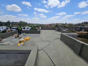 Professional Application of Topseal 107 Waterproofing