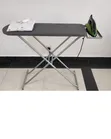 Metallic Ironing Board - 1
