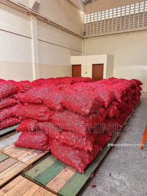 Bulb Onions - Wholesale Price