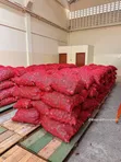 Bulb Onions - Wholesale Price - 1