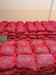 Bulb Onions - Wholesale Price - 2