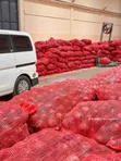 Bulb Onions - Wholesale Price - 3