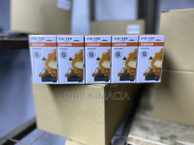 Osram H16 Bulb - 1
