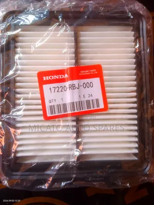 Genuine Honda Air Filter 17220-RBJ-000