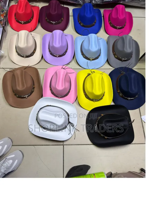 Stylish Cowboy Hat with Longhorn Emblem - 1