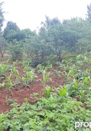 1/4 Acre Flat Land for Sale in Kaithe, 500m from Meru-Maua Highway