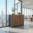 Executive Credenza - Two Doors, Polished Wood - 2