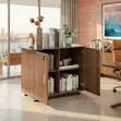 Executive Credenza - Two Doors, Polished Wood - 3