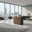 Executive Credenza - Two Doors, Polished Wood - 4