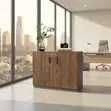 Executive Credenza - Two Doors, Polished Wood - 5