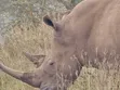 Muruga Safaris: All-Inclusive Kenya Safari Tour - 5
