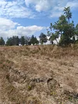 Zawadi Gardens Plots, Makuyu - 1