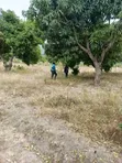 Zawadi Gardens Plots, Makuyu - 2