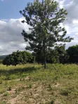 Zawadi Gardens Plots, Makuyu - 4