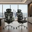 Executive High Backrest Orthopedic Office Chair - 2