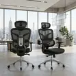 Executive High Backrest Orthopedic Office Chair - 3