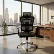 Executive High Backrest Orthopedic Office Chair - 4