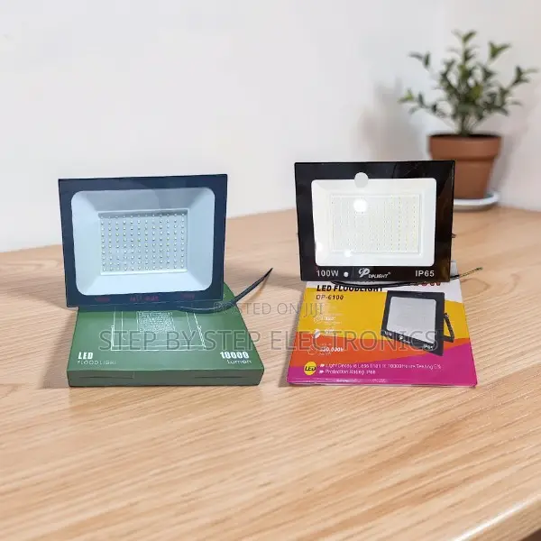 100W AC Electric LED Flood Light - Direct Factory Price - 1