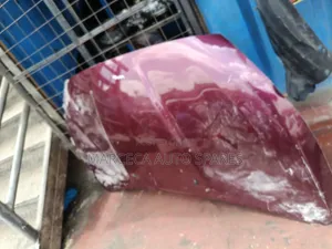 Nissan Bonnet - 2017 Model