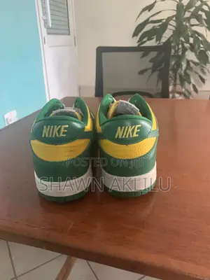 Nike Men's Brazil Dunks