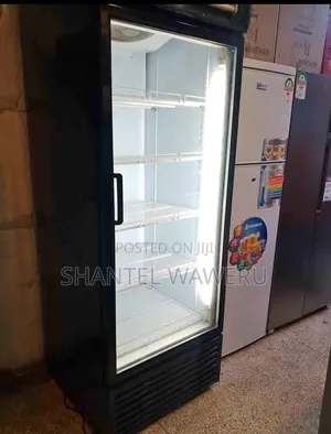 Friji Kubwa la Kuonyesha la Kibiashara la Lita 600