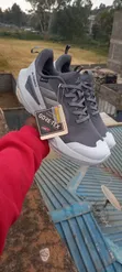 Adidas Sneakers za Michezo - Ash, Size 40/12 - 1