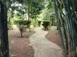 3 Bedroom Bungalow in Karen for Rent - 5