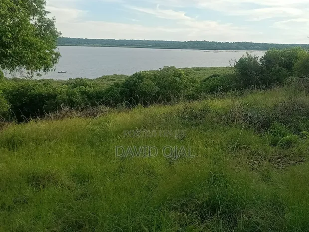 32 Acre Freehold Land for Sale, Bondo - 1