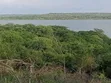 32 Acre Freehold Land for Sale, Bondo - 2