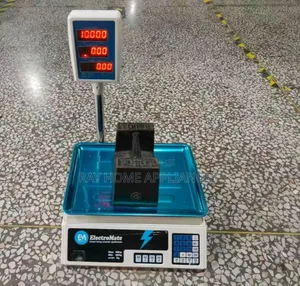 Electromate Digital Computing Weighing Scale 40kg