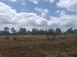 Sagana Township Commercial Land - 3 Acres on Main Highway - 2