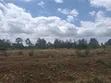 Sagana Township Commercial Land - 3 Acres on Main Highway - 3