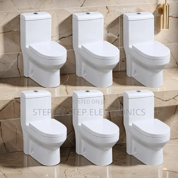 Sawa One Piece Dual Flush Toilet Seat - 1