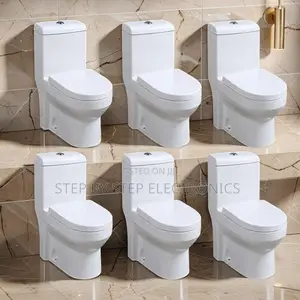 Sawa One Piece Dual Flush Toilet Seat