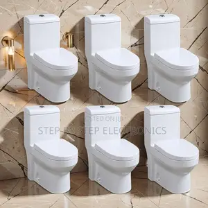 Sawa Toilet Seat One Piece Dual Flush