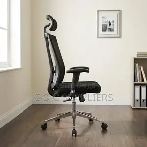 Executive Mesh Chair with Lumbar Support