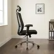 Executive Mesh Chair with Lumbar Support - 1