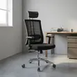 Executive Mesh Chair with Lumbar Support - 2