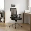 Executive Mesh Chair with Lumbar Support - 3