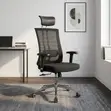 Executive Mesh Chair with Lumbar Support - 4